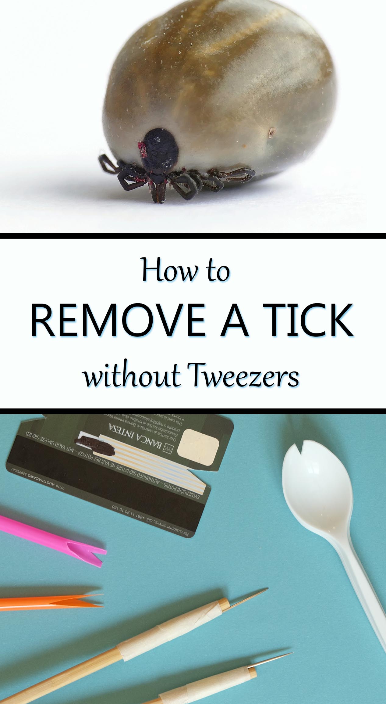 How to Remove a Tick without Tweezers or a Tool - Mom Goes Camping