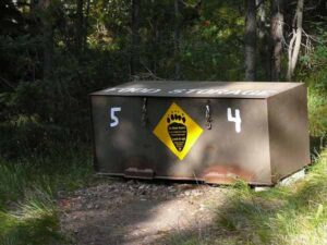 How to Keep Bears Away from Your Campsite: 9 Rules
