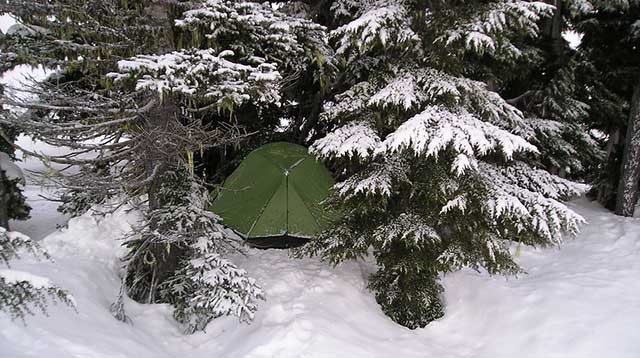 winter tent with tree wind break