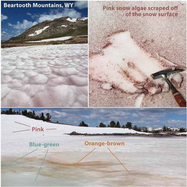 How to Melt Snow for Drinking Water: Winter Camping